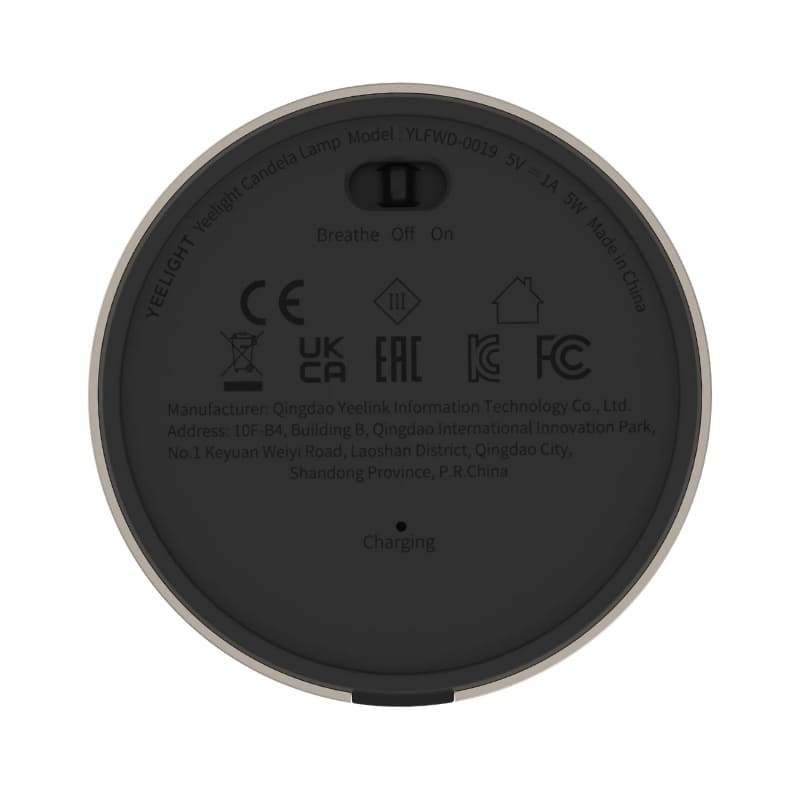 Luminária de Mesa Decorativa Portátil de Led Homedec