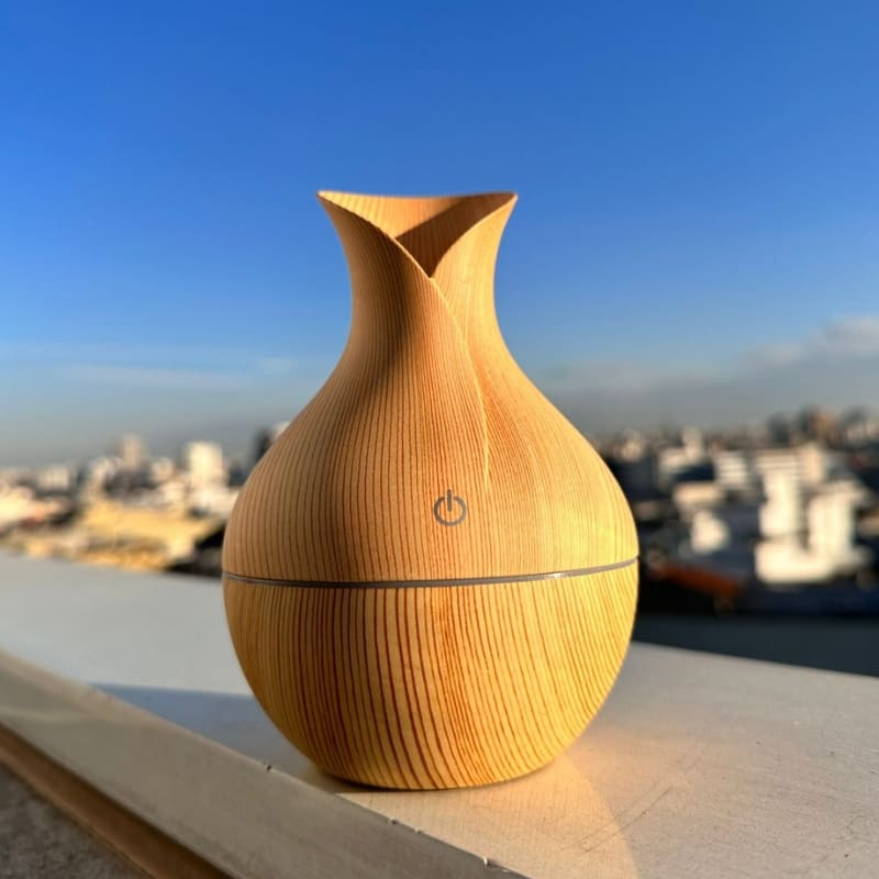 Umidificador e Difusor de Ar e Aromatizador de Ambientes Homedec
